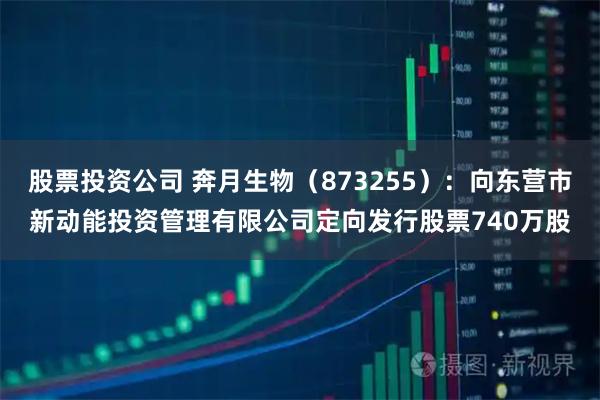 股票投资公司 奔月生物（873255）：向东营市新动能投资管理有限公司定向发行股票740万股
