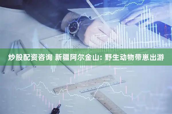 炒股配资咨询 新疆阿尔金山: 野生动物带崽出游
