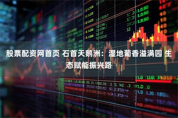 股票配资网首页 石首天鹅洲：湿地葡香溢满园 生态赋能振兴路