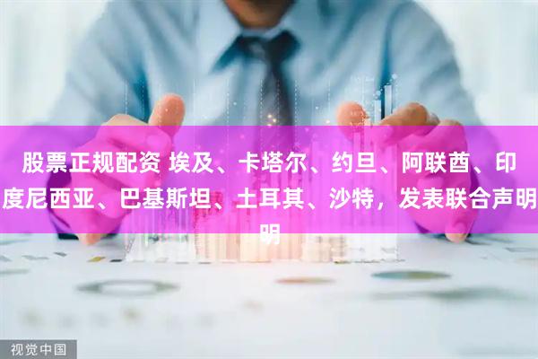 股票正规配资 埃及、卡塔尔、约旦、阿联酋、印度尼西亚、巴基斯坦、土耳其、沙特，发表联合声明